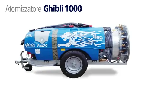 ghibli+1000