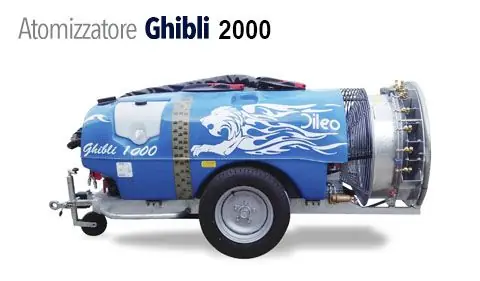 ghibli+2000